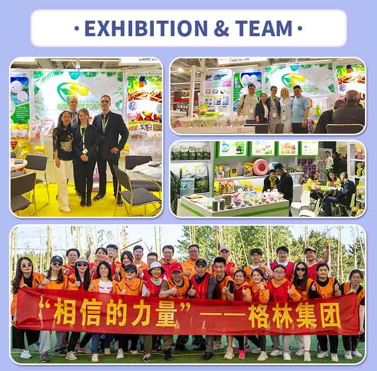 exhibition and team.jpg